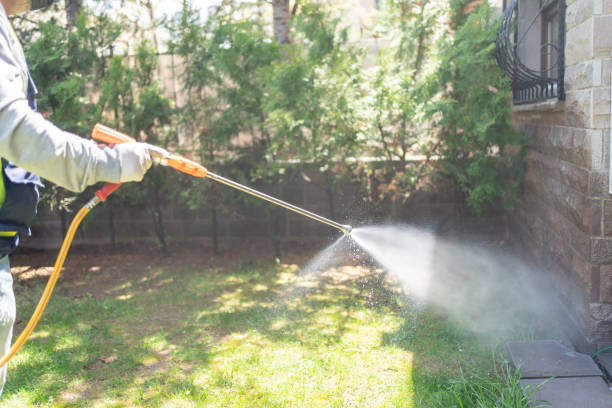 Emergency Pest Control Services in Selmer, TN